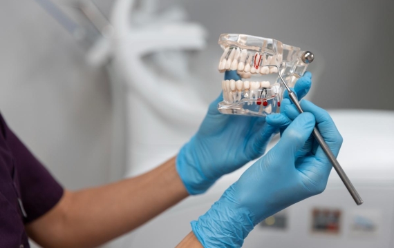 higuiene dental higuiene dental