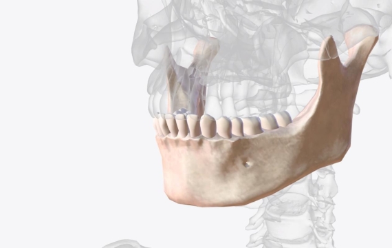 Mandíbulas desalineadas Catarroja Mandíbulas desalineadas Valencia