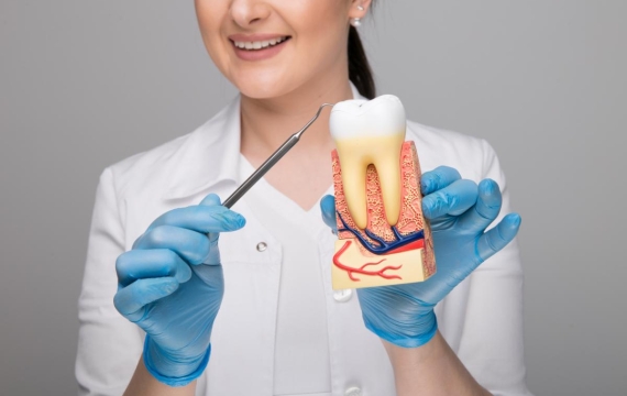 cúanto cuesta la endodoncia en catarroja qué es la endodoncia
